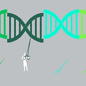 Adam McCauley Collection - Bioengineering, Biology, Biotechnology, Business, DNA, Genetics, Genome, Health, Healthcare, Innovation, Medical, Science, Solution, Technology