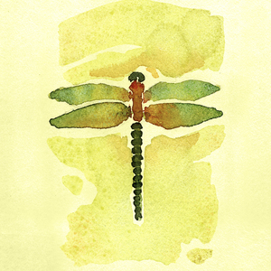 Ben Perini - Ability, Aging, Dragonfly, Ecology, Editorial, Fable, Insect, Loyalty, Medication, Meditation, Metamorphosis, Simplify, Solitude, Spirit, Unique