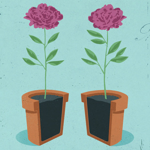 Richard Mia - Concept Art, Conceptual, Digital, Editorial, Environmental, Graphic, Nature, Vector Art