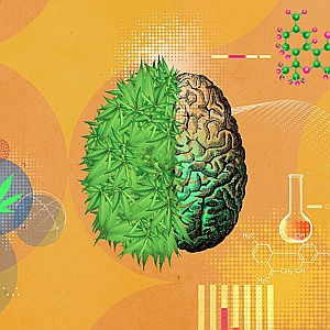 Stephanie Dalton Cowan - Autism, Cancer, Chemistry, Healthcare, Marijuana, Medical, Medical Marijuana, Medicine, Pain Management