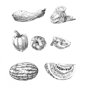 Andre Junget - Black & White, Botanical, Environmental, Food, Food/Beverage, Horticulture, How to, Impressionistic, Packaging, Pen & Ink, Seasonal, Stylized
