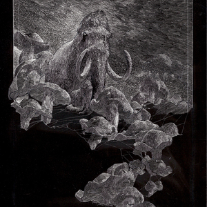 Andre Junget - Animals, Atmospheric, Black & White, Books, Chalkboard, Children, Children's Book, Fiction, Scratch Board, Stylized