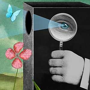 Michael Morgenstern - Biology, Curiosity, Discovery, Environmental, Knowledge, Nature, Perspective, Philosophy, Poetry, Research, Science, Search, Truth, Vision